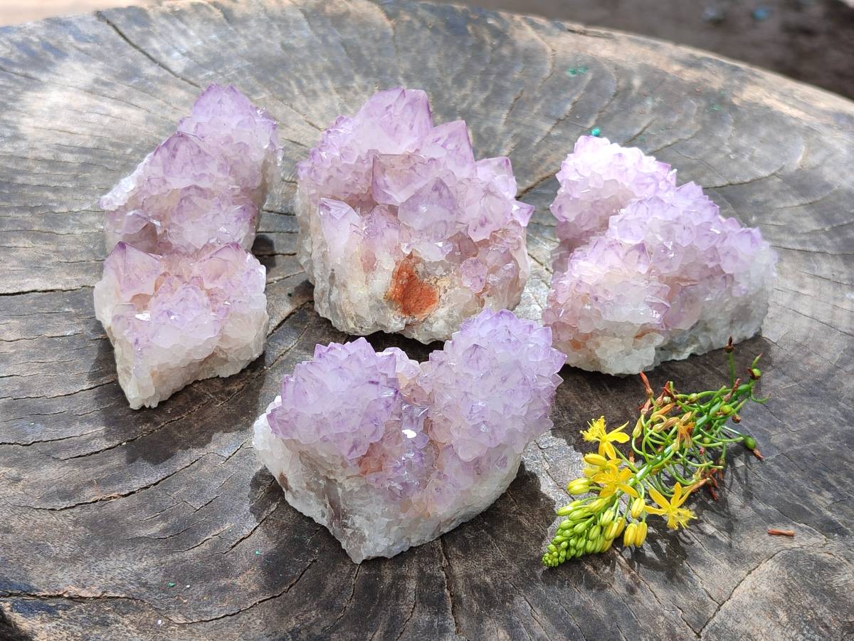 Natural Amethyst Spirit Quartz Clusters x 4 From Boekenhouthoek, South Africa - Toprock Gemstones and Minerals 