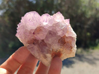 Natural Amethyst Spirit Quartz Clusters x 4 From Boekenhouthoek, South Africa - Toprock Gemstones and Minerals 