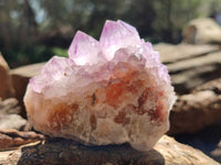 Natural Amethyst Spirit Quartz Clusters x 4 From Boekenhouthoek, South Africa - Toprock Gemstones and Minerals 