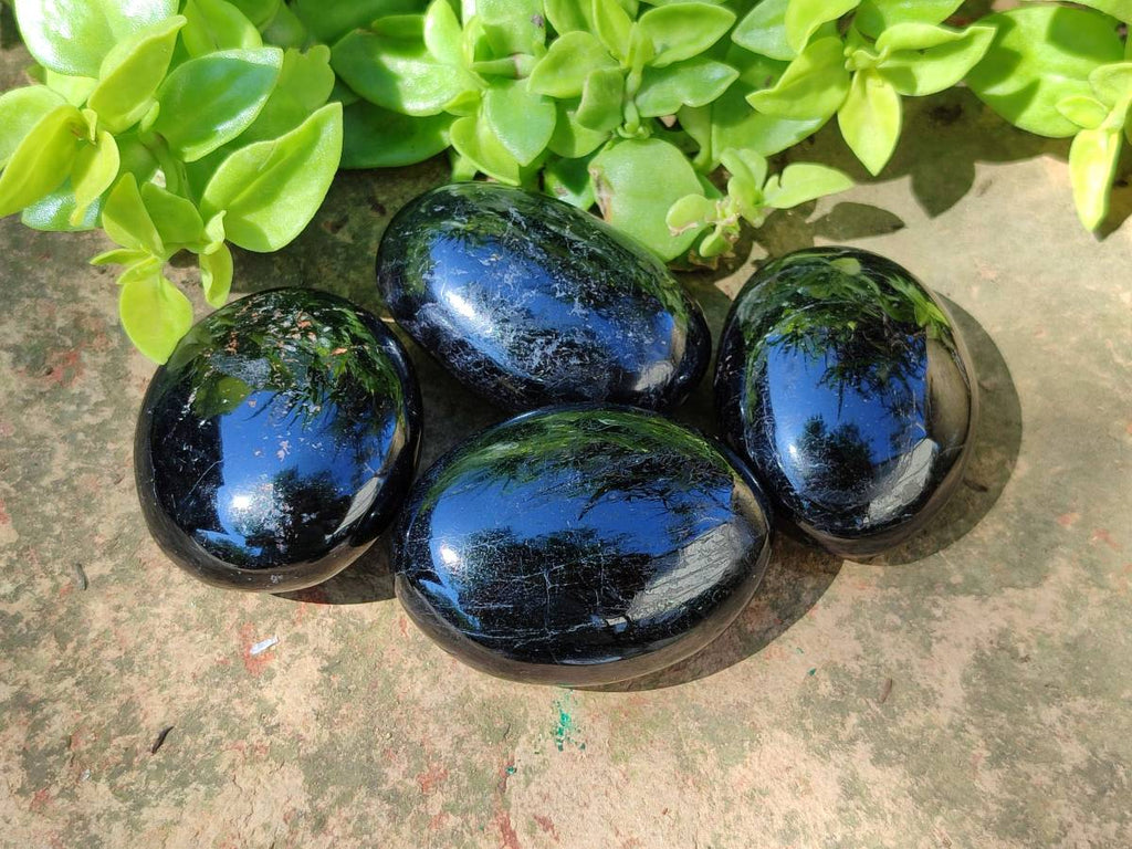 Polished Black Tourmaline Palm Stones x 12 From Madagascar - Toprock Gemstones and Minerals 