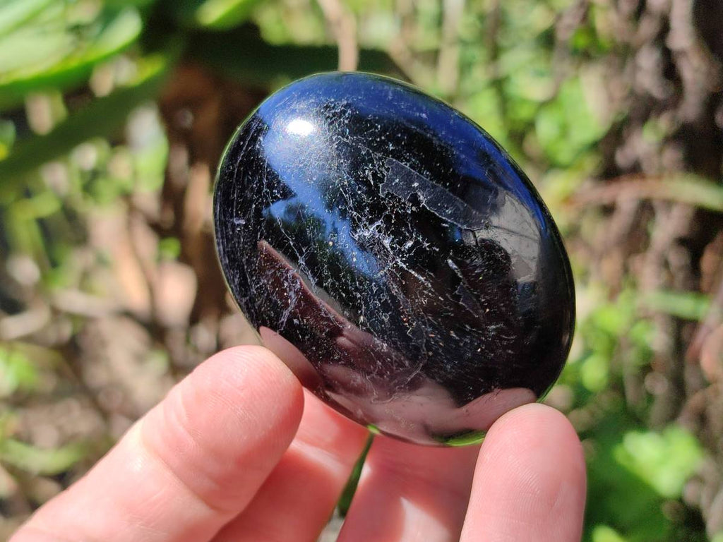 Polished Black Tourmaline Palm Stones x 12 From Madagascar - Toprock Gemstones and Minerals 