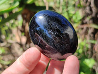 Polished Black Tourmaline Palm Stones x 12 From Madagascar
