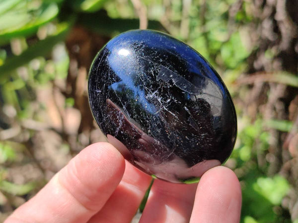 Polished Black Tourmaline Palm Stones x 12 From Madagascar