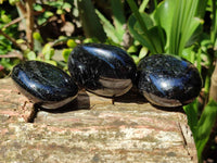 Polished Black Tourmaline Palm Stones x 12 From Madagascar