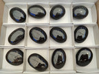 Polished Black Tourmaline Palm Stones x 12 From Madagascar - Toprock Gemstones and Minerals 