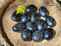 Polished Black Tourmaline Palm Stones x 12 From Madagascar