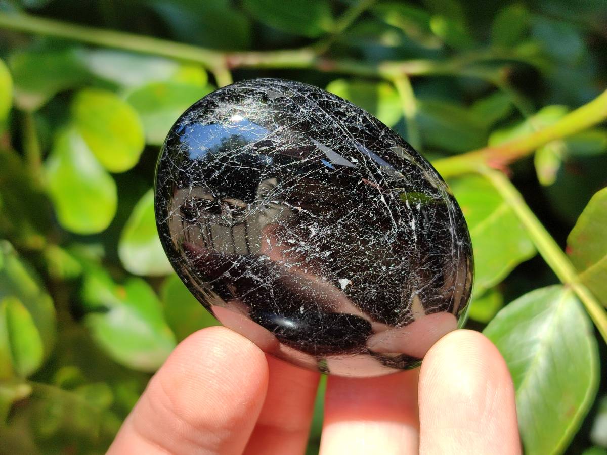 Polished Black Tourmaline Palm Stones x 12 From Madagascar - Toprock Gemstones and Minerals 