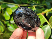 Polished Black Tourmaline Palm Stones x 12 From Madagascar