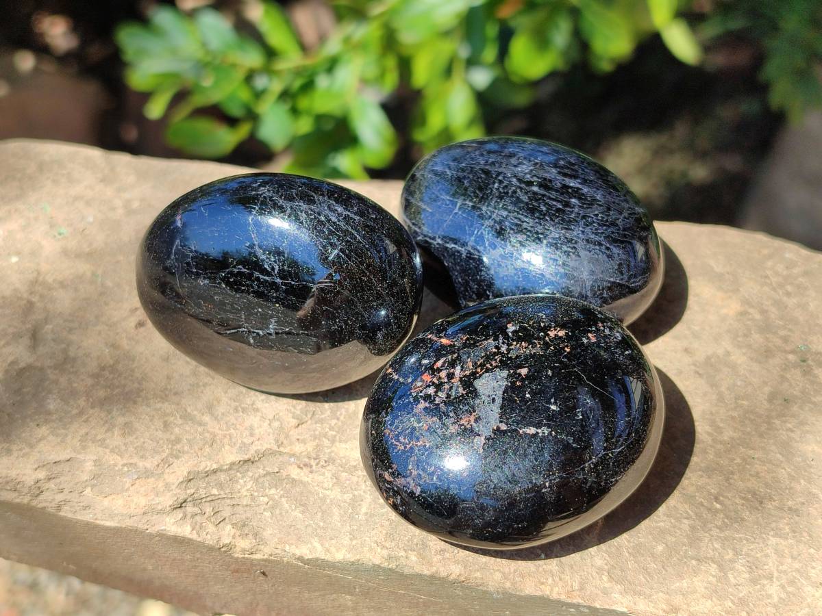 Polished Black Tourmaline Palm Stones x 12 From Madagascar - Toprock Gemstones and Minerals 