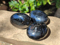 Polished Black Tourmaline Palm Stones x 12 From Madagascar