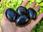 Polished Black Tourmaline Palm Stones x 12 From Madagascar - Toprock Gemstones and Minerals 