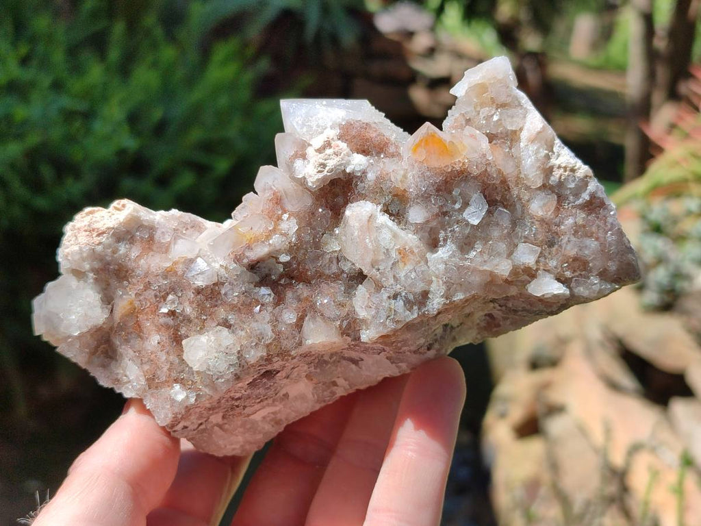 Natural Golden Limonite Spirit Quartz Clusters x 9 From Boekenhouthoek, South Africa - Toprock Gemstones and Minerals 