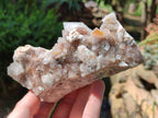 Natural Golden Limonite Spirit Quartz Clusters x 9 From Boekenhouthoek, South Africa - Toprock Gemstones and Minerals 