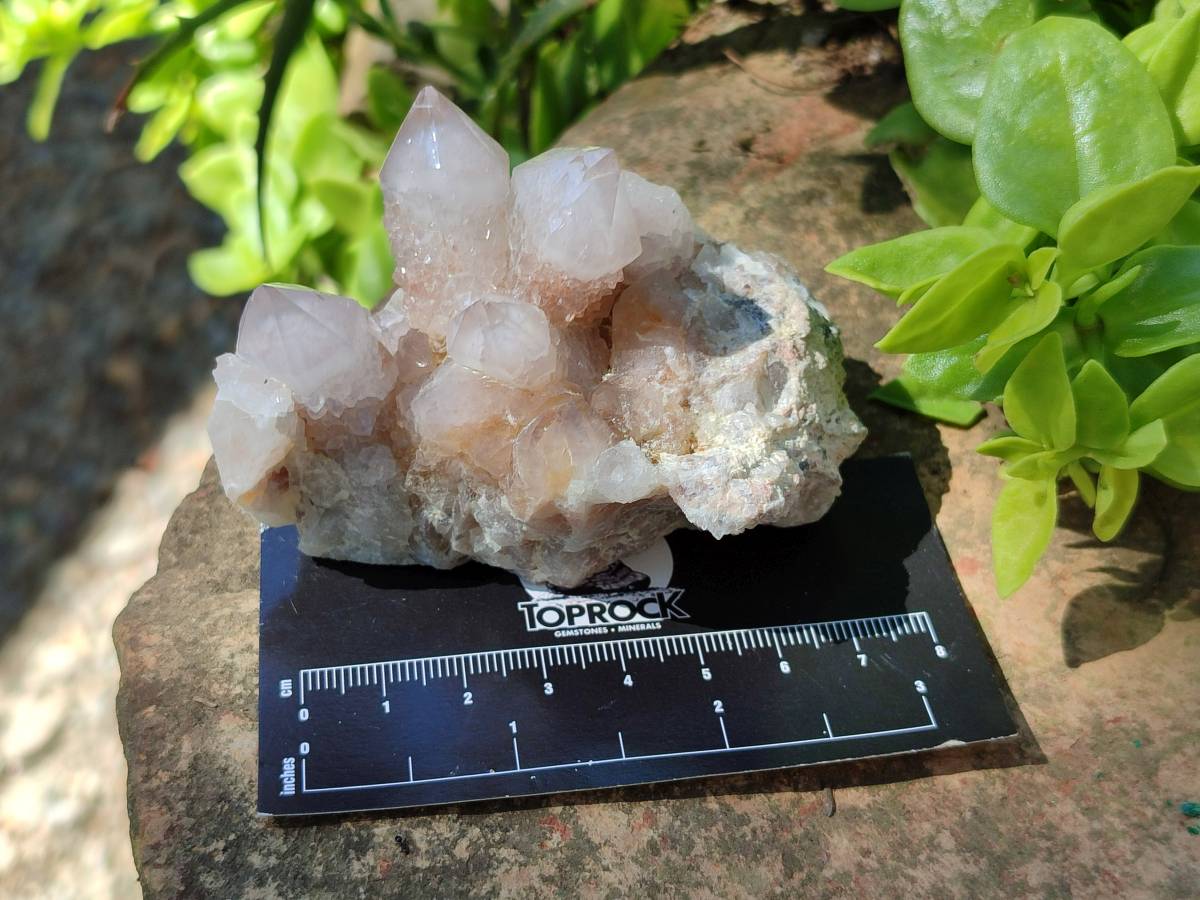 Natural Golden Limonite Spirit Quartz Clusters x 9 From Boekenhouthoek, South Africa - Toprock Gemstones and Minerals 