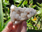 Natural Golden Limonite Spirit Quartz Clusters x 9 From Boekenhouthoek, South Africa - Toprock Gemstones and Minerals 