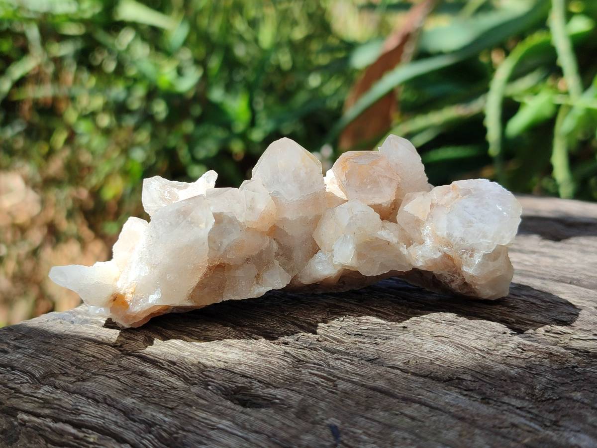 Natural Golden Limonite Spirit Quartz Clusters x 9 From Boekenhouthoek, South Africa - Toprock Gemstones and Minerals 