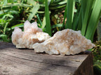 Natural Golden Limonite Spirit Quartz Clusters x 9 From Boekenhouthoek, South Africa - Toprock Gemstones and Minerals 