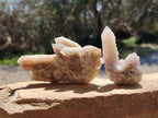 Natural Golden Limonite Spirit Quartz Clusters x 9 From Boekenhouthoek, South Africa - Toprock Gemstones and Minerals 