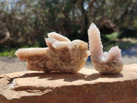 Natural Golden Limonite Spirit Quartz Clusters x 9 From Boekenhouthoek, South Africa - Toprock Gemstones and Minerals 