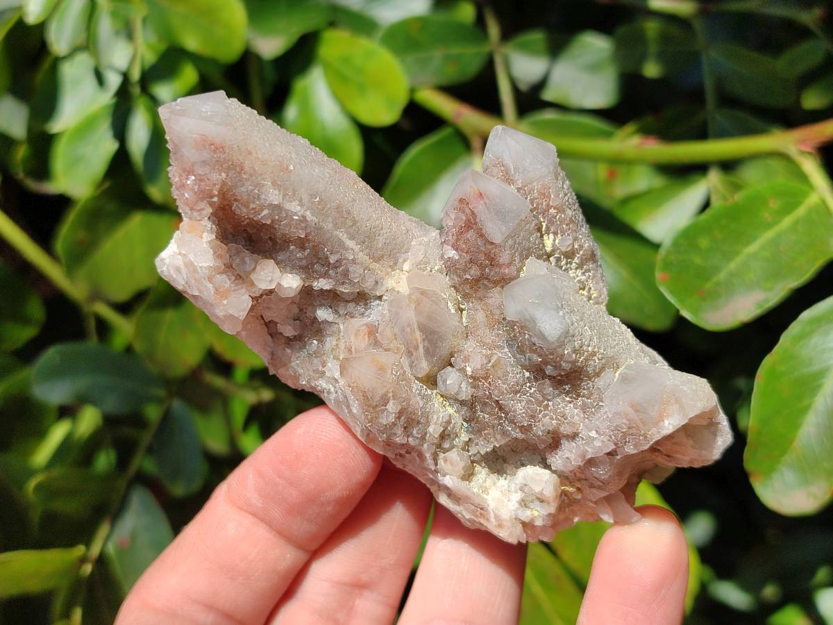 Natural Golden Limonite Spirit Quartz Clusters x 9 From Boekenhouthoek, South Africa - Toprock Gemstones and Minerals 
