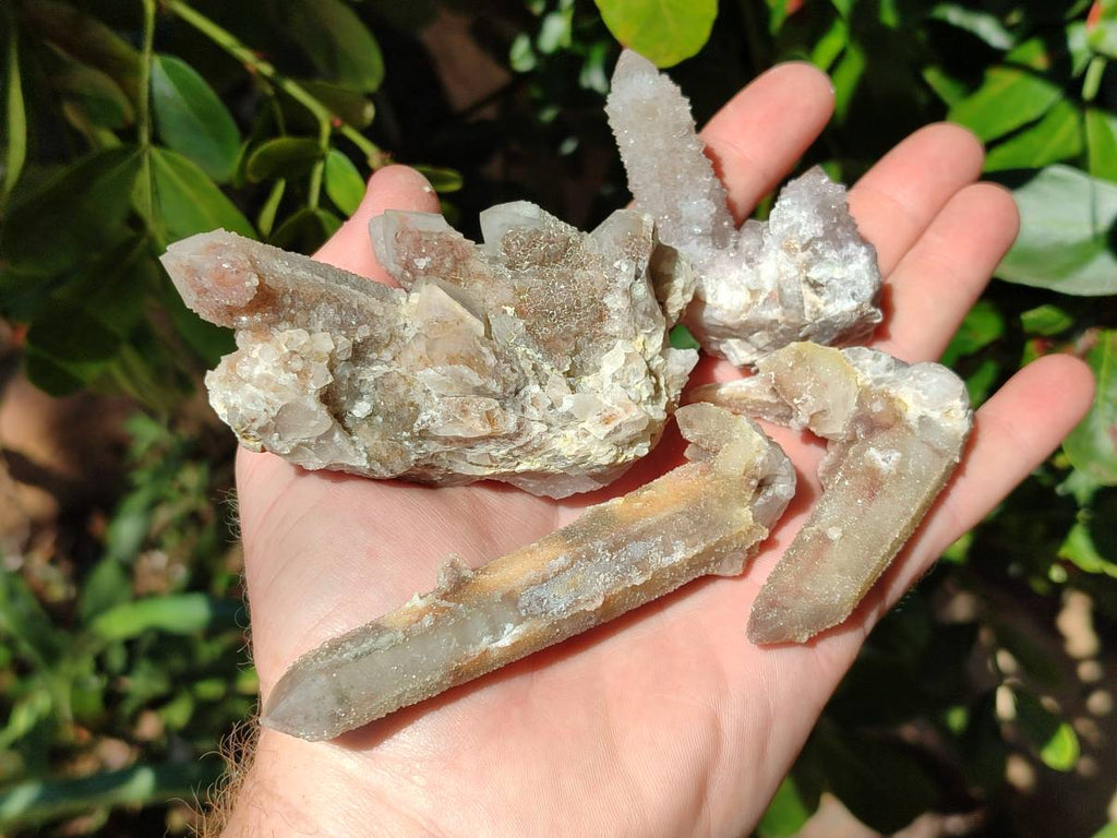 Natural Golden Limonite Spirit Quartz Clusters x 9 From Boekenhouthoek, South Africa - Toprock Gemstones and Minerals 