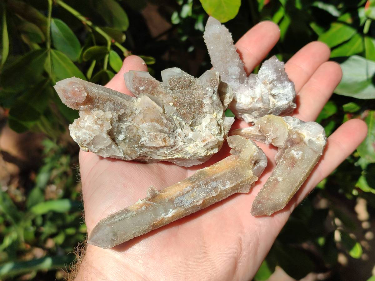 Natural Golden Limonite Spirit Quartz Clusters x 9 From Boekenhouthoek, South Africa - Toprock Gemstones and Minerals 
