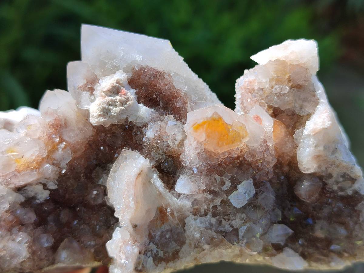 Natural Golden Limonite Spirit Quartz Clusters x 9 From Boekenhouthoek, South Africa - Toprock Gemstones and Minerals 