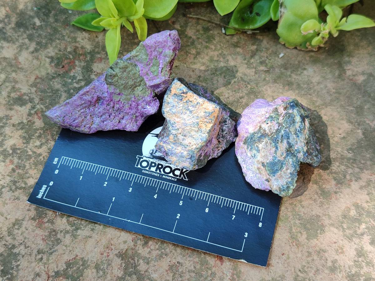 Natural Stichtite Cobbed Specimens x 70 From Barberton, South Africa - Toprock Gemstones and Minerals 