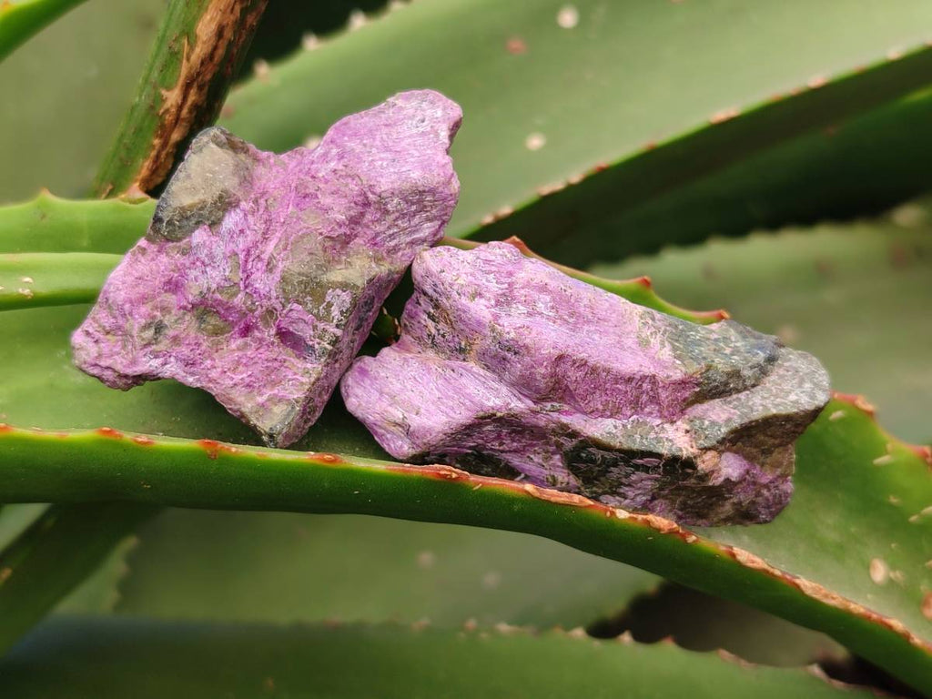 Natural Stichtite Cobbed Specimens x 70 From Barberton, South Africa - Toprock Gemstones and Minerals 