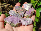 Natural Stichtite Cobbed Specimens x 70 From Barberton, South Africa - Toprock Gemstones and Minerals 