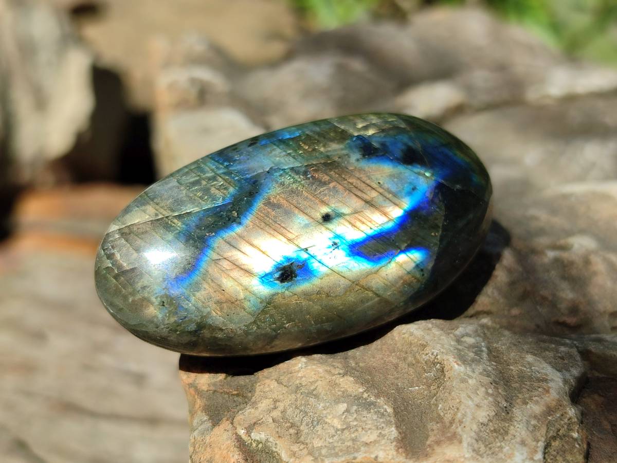 Polished Labradorite Standing Free Forms x 20 From Tulear, Madagascar - Toprock Gemstones and Minerals 
