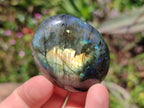 Polished Labradorite Standing Free Forms x 20 From Tulear, Madagascar - Toprock Gemstones and Minerals 