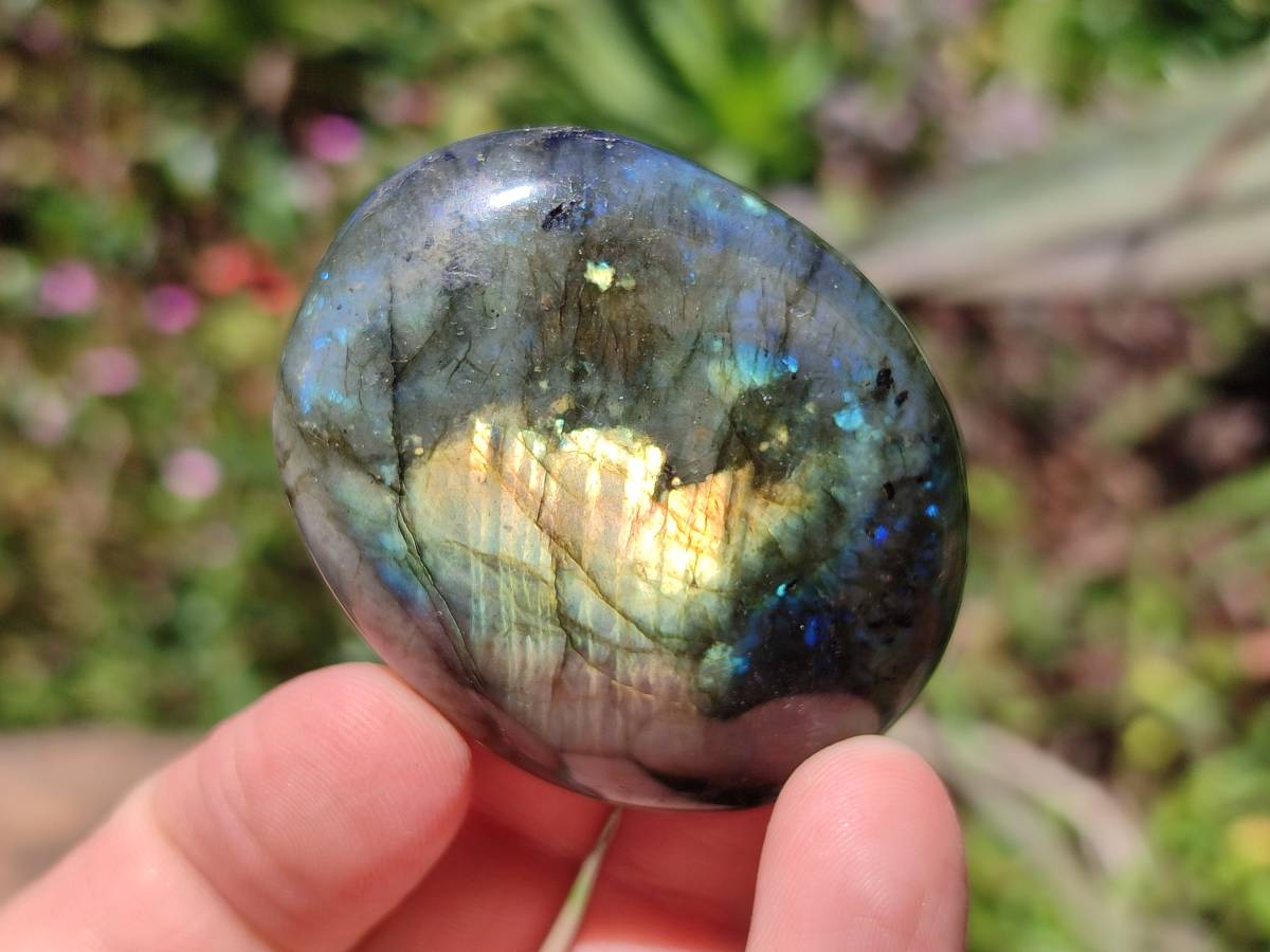 Polished Labradorite Standing Free Forms x 20 From Tulear, Madagascar - Toprock Gemstones and Minerals 