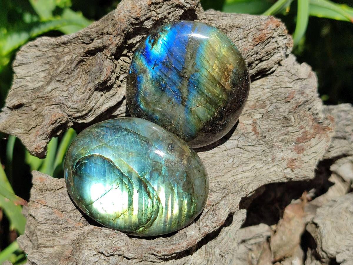 Polished Labradorite Standing Free Forms x 20 From Tulear, Madagascar - Toprock Gemstones and Minerals 