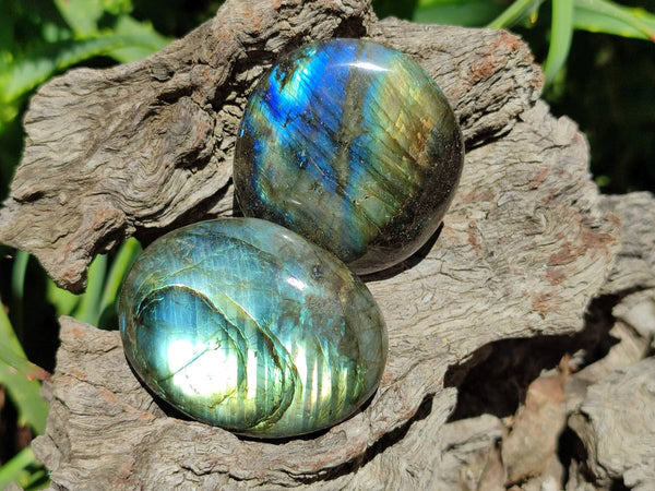Polished Labradorite Standing Free Forms x 20 From Tulear, Madagascar