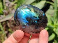 Polished Labradorite Standing Free Forms x 20 From Tulear, Madagascar