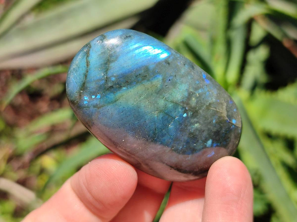 Polished Labradorite Standing Free Forms x 20 From Tulear, Madagascar - Toprock Gemstones and Minerals 