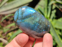 Polished Labradorite Standing Free Forms x 20 From Tulear, Madagascar