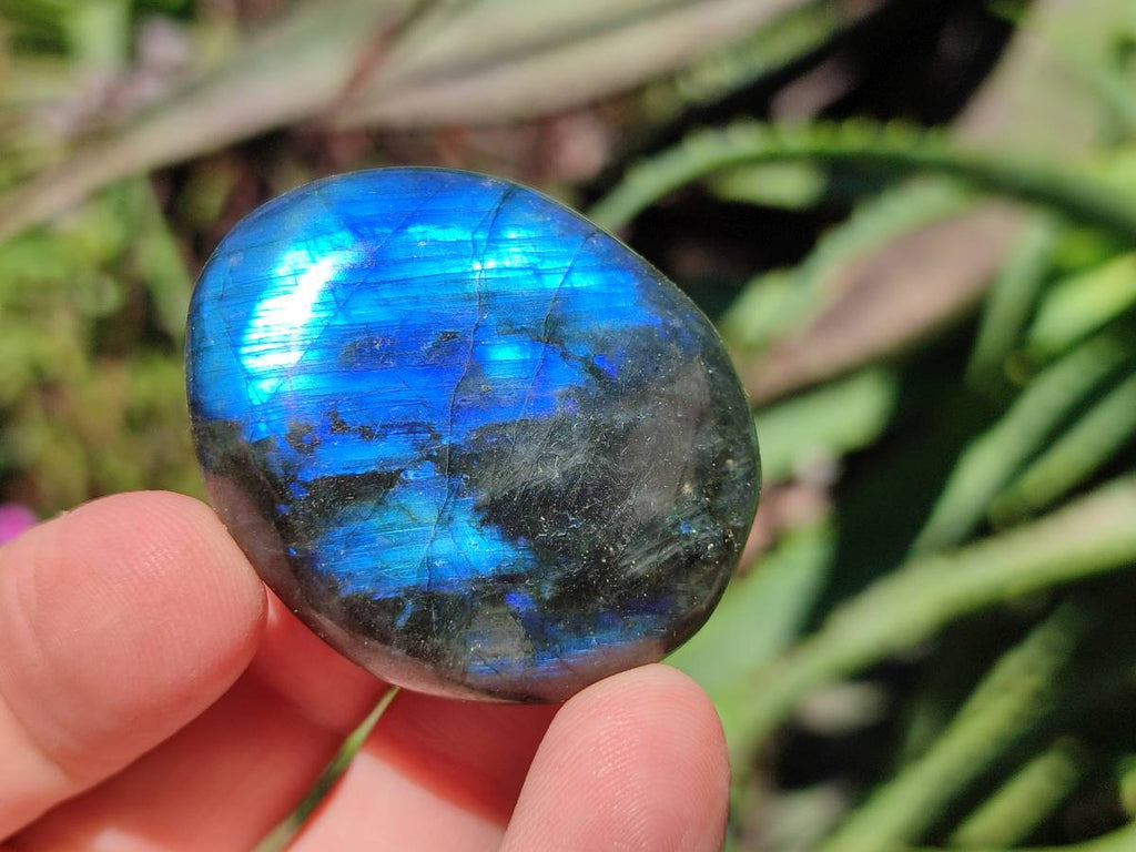 Polished Labradorite Standing Free Forms x 20 From Tulear, Madagascar - Toprock Gemstones and Minerals 
