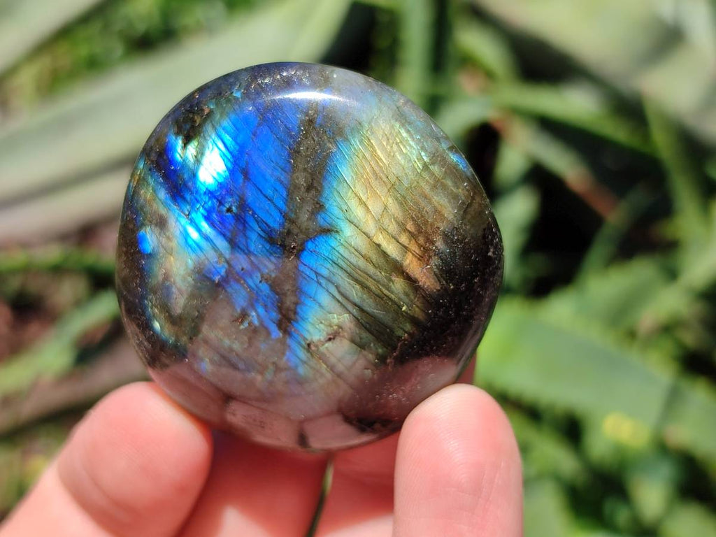 Polished Labradorite Standing Free Forms x 20 From Tulear, Madagascar - Toprock Gemstones and Minerals 