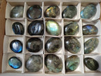 Polished Labradorite Standing Free Forms x 20 From Tulear, Madagascar - Toprock Gemstones and Minerals 