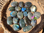Polished Labradorite Standing Free Forms x 20 From Tulear, Madagascar - Toprock Gemstones and Minerals 