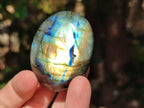 Polished Labradorite Standing Free Forms x 20 From Tulear, Madagascar - Toprock Gemstones and Minerals 