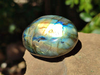 Polished Labradorite Standing Free Forms x 20 From Tulear, Madagascar