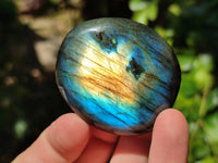 Polished Labradorite Standing Free Forms x 20 From Tulear, Madagascar