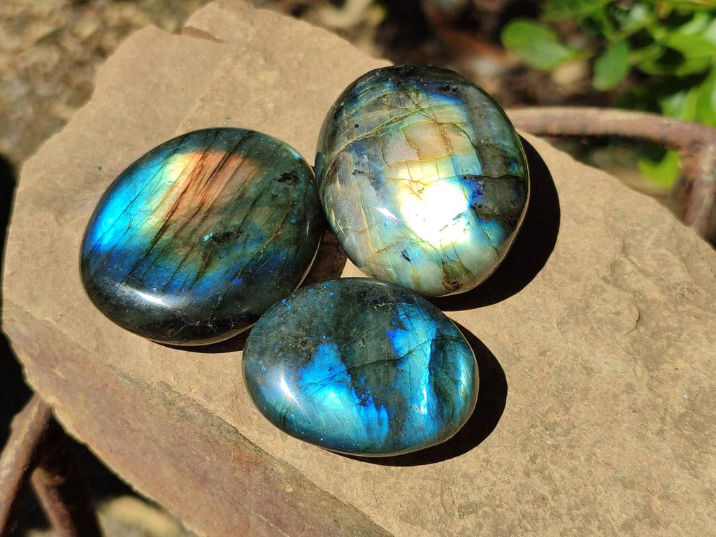 Polished Labradorite Standing Free Forms x 20 From Tulear, Madagascar - Toprock Gemstones and Minerals 