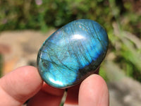 Polished Labradorite Standing Free Forms x 20 From Tulear, Madagascar