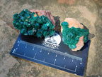 Natural Dioptase On Dolomite Specimens x 12 From Likasi, Congo - Toprock Gemstones and Minerals 