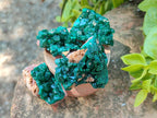 Natural Dioptase On Dolomite Specimens x 12 From Likasi, Congo - Toprock Gemstones and Minerals 
