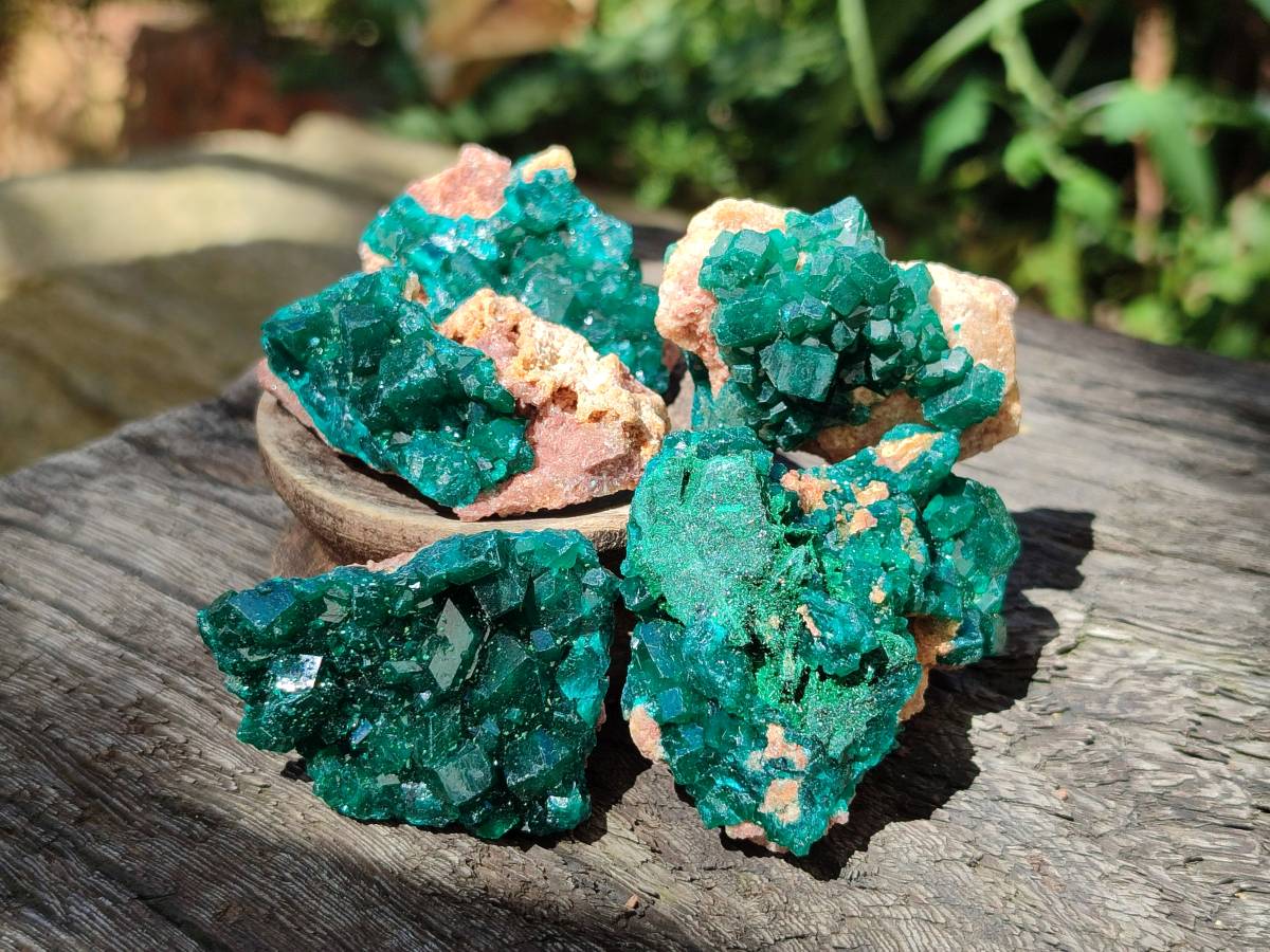 Natural Dioptase On Dolomite Specimens x 12 From Likasi, Congo - Toprock Gemstones and Minerals 